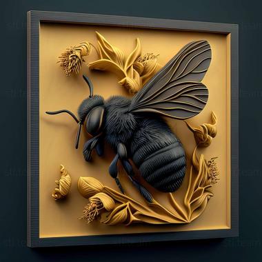 3D модель Bombus pomorum (STL)